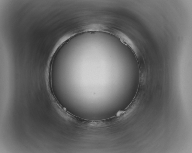 X0000111491146200907211004