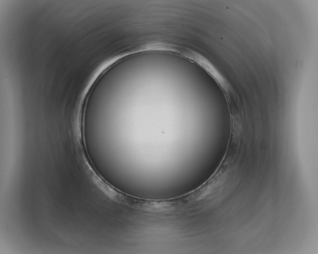 X0000111491148200907211004