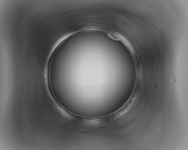 X0000111491149200907211004