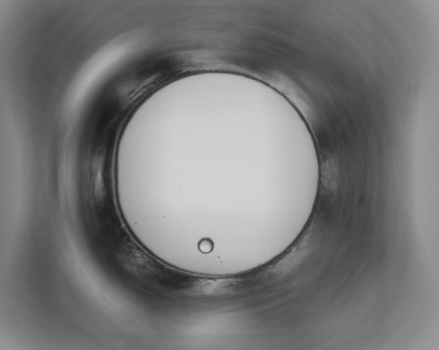 X0000111491150200907211004