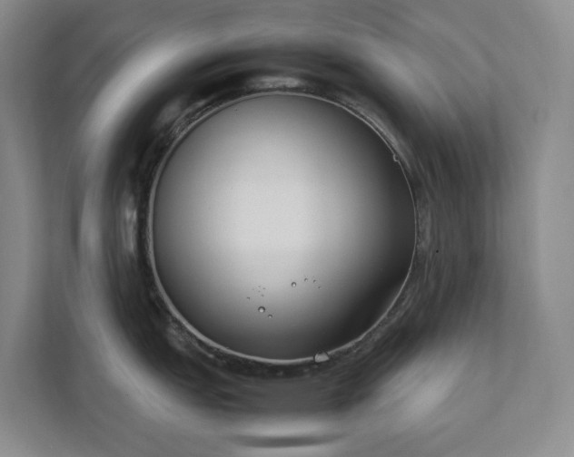 X0000111491151200907211004