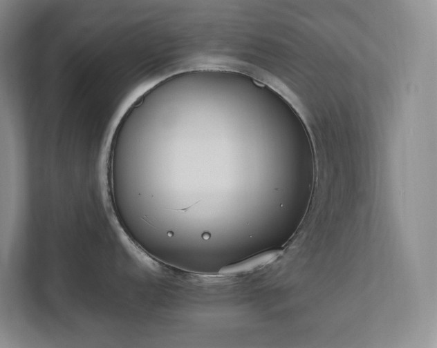 X0000111491152200907211004