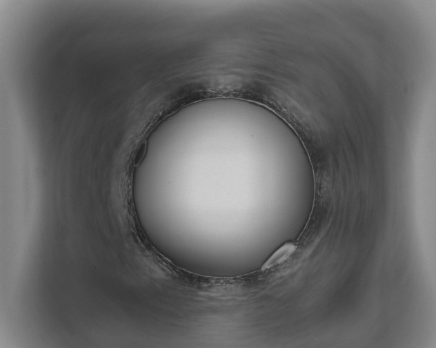 X0000111491153200907211003