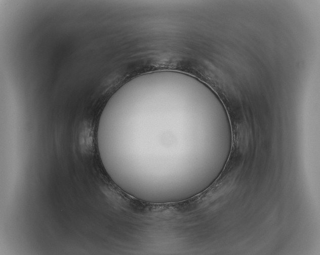 X0000111491154200907211003