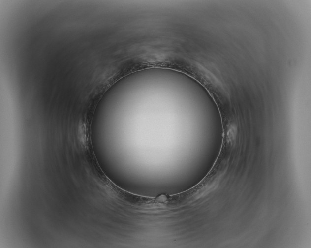 X0000111491156200907211003