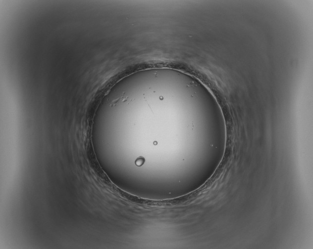 X0000111491157200907211003