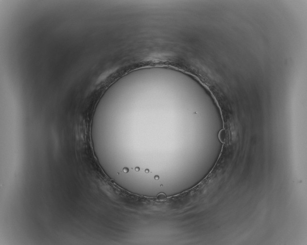 X0000111491158200907211003