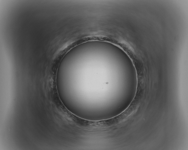 X0000111491159200907211003