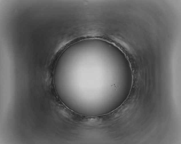 X0000111491160200907211003