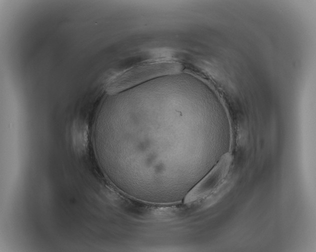 X0000111491161200907211003