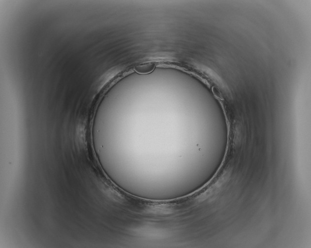 X0000111491162200907211003