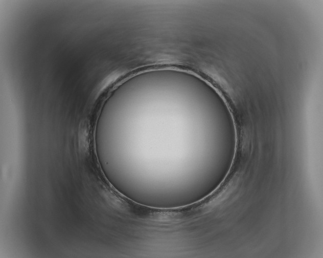 X0000111491163200907211003