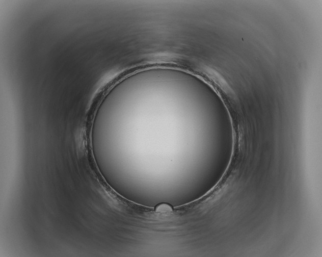 X0000111491164200907211003