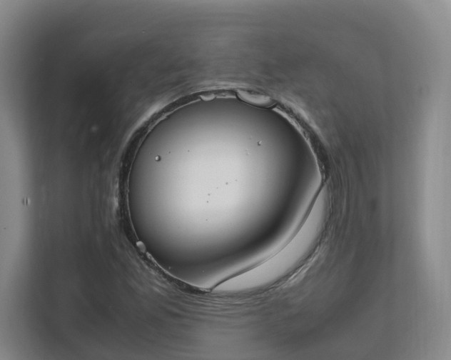 X0000111491165200907211003