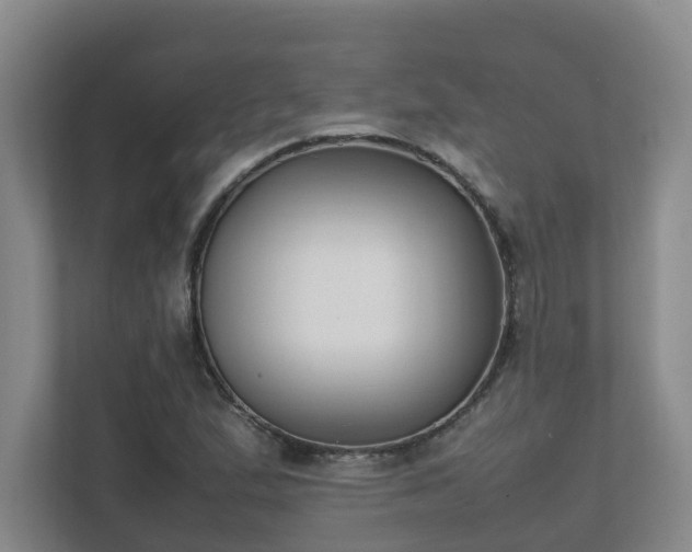 X0000111491167200907211003