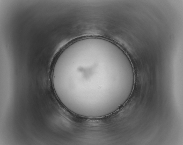 X0000111491168200907211003