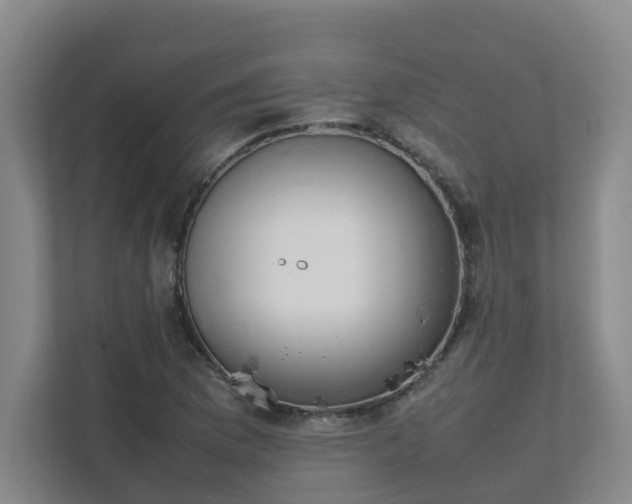 X0000111491169200907211003