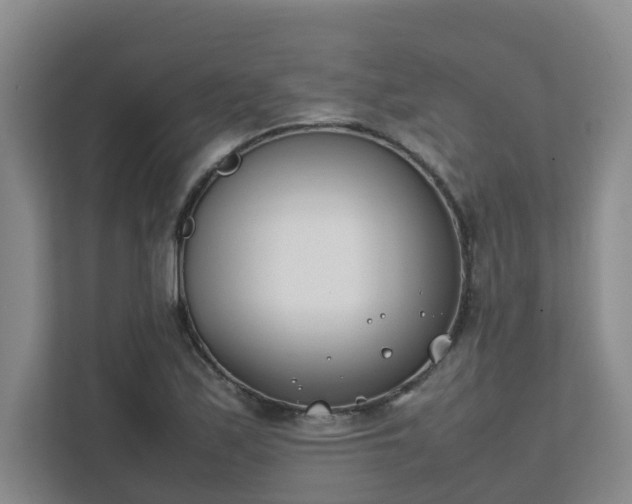 X0000111491171200907211003