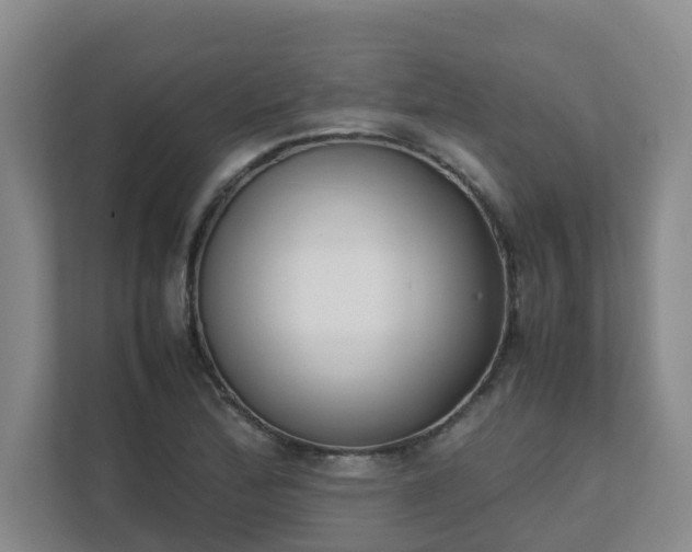 X0000111491172200907211003