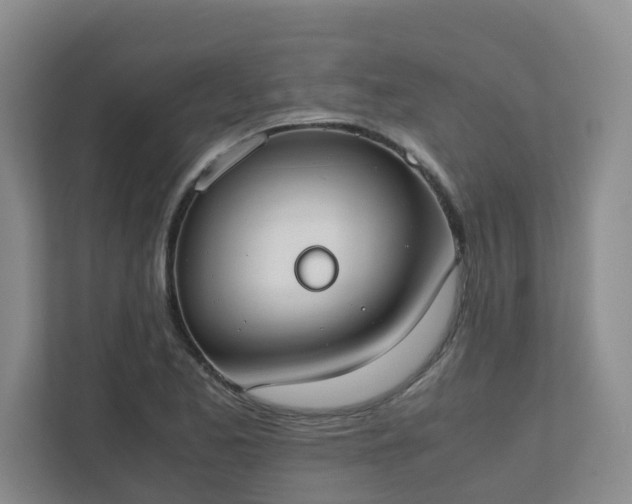 X0000111491173200907211003