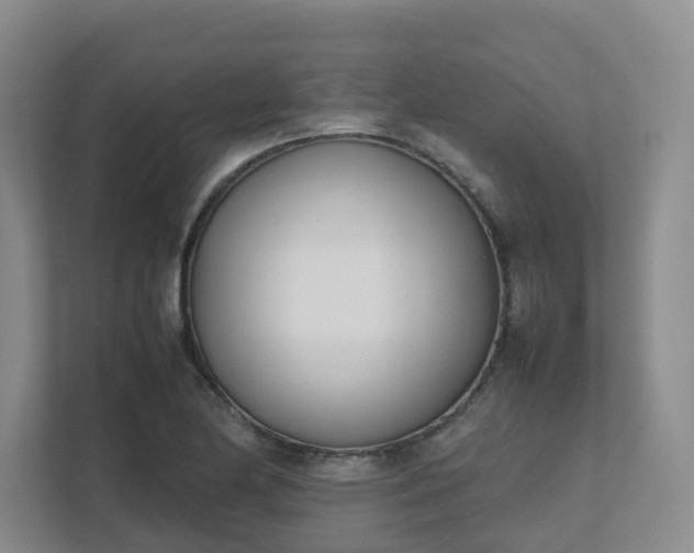 X0000111491174200907211003