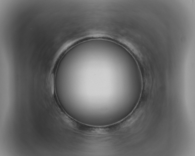 X0000111491175200907211003