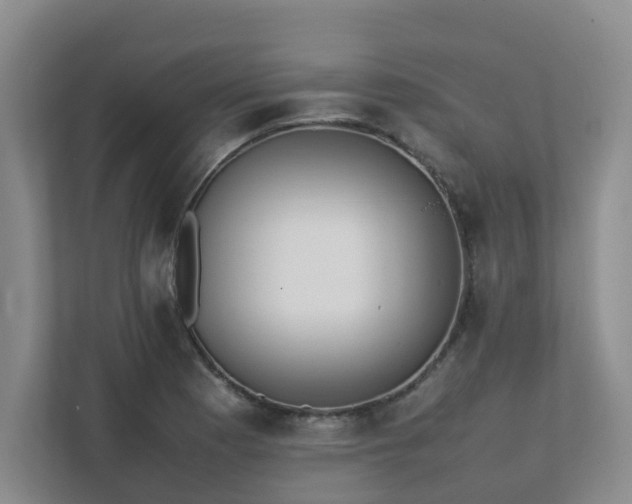 X0000111491177200907211003