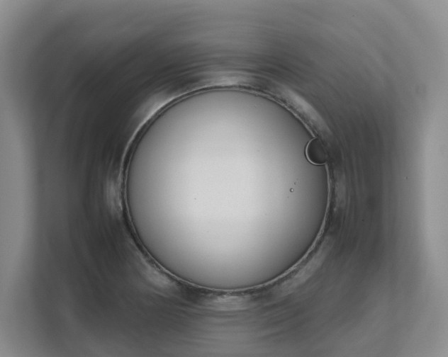 X0000111491178200907211003