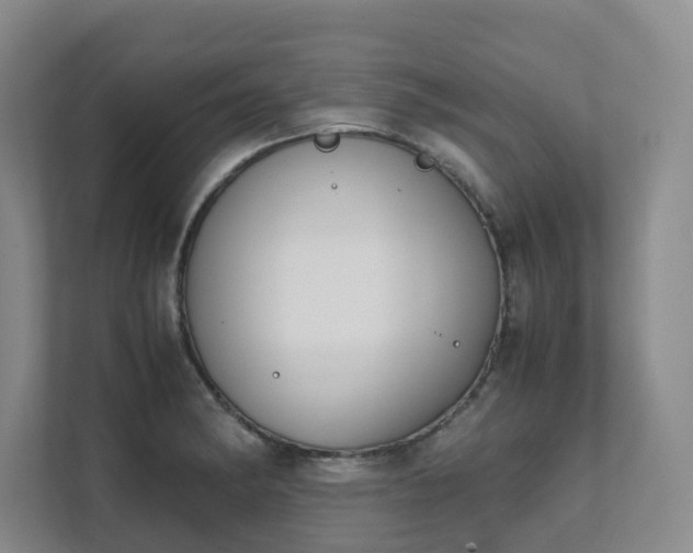 X0000111491182200907211003