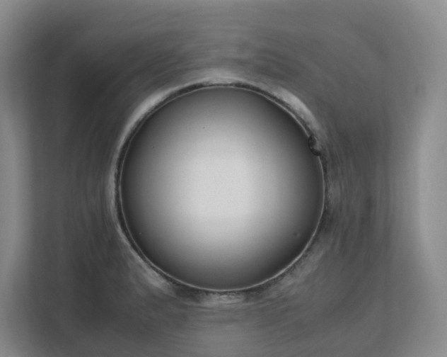 X0000111491183200907211003