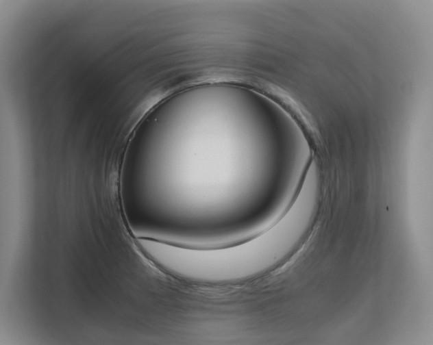 X0000111491185200907211003