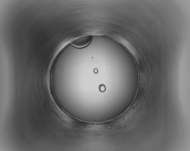 X0000111491187200907211003