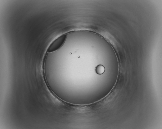 X0000111491189200907211003