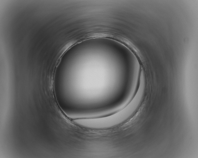 X0000111491193200907211003