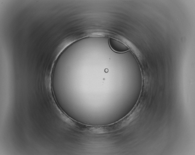 X0000111491194200907211003