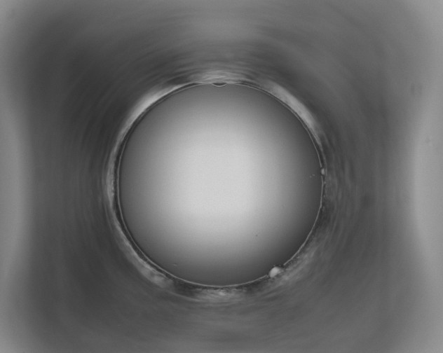 X0000111491195200907211003