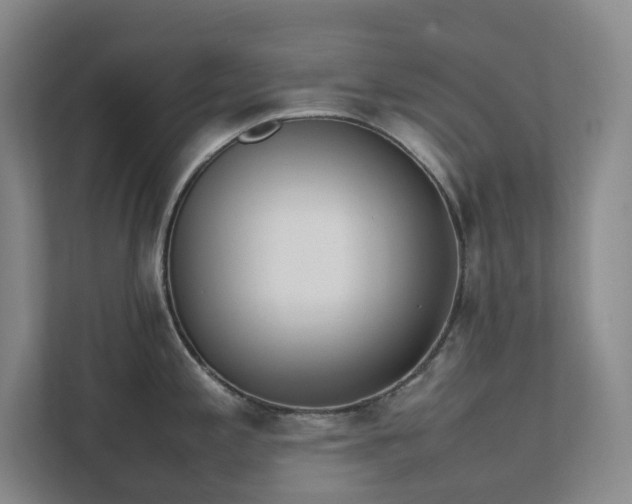 X0000111491197200907211003