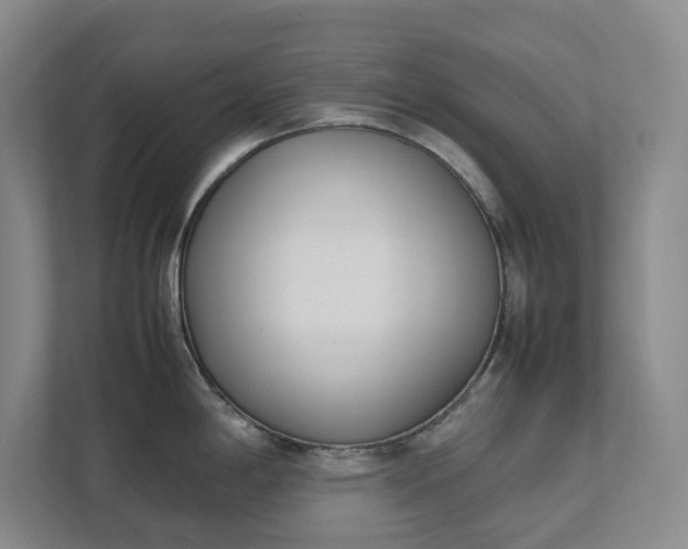 X0000111491198200907211003