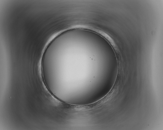 X0000111491199200907211003