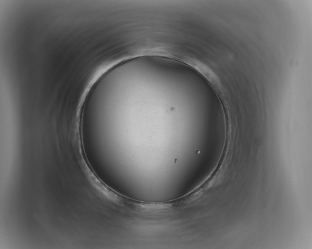 X0000111491200200907211003