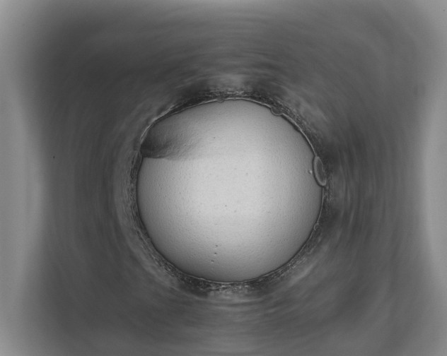 X0000111491201200907211002