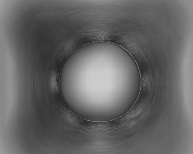 X0000111491202200907211002