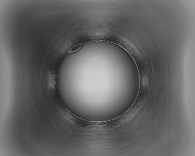 X0000111491204200907211002