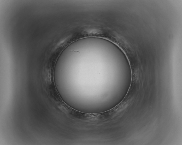 X0000111491205200907211002