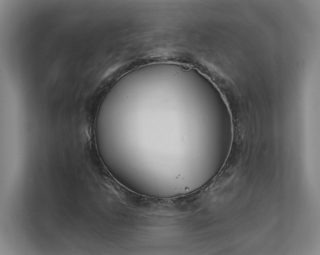 X0000111491206200907211002