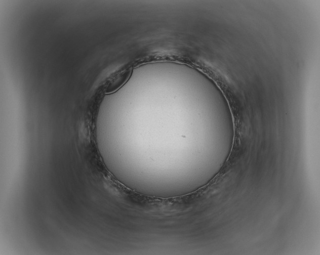 X0000111491207200907211002