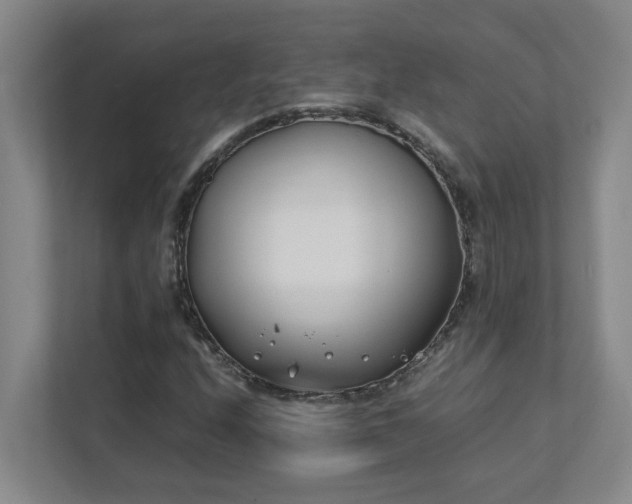 X0000111491208200907211002