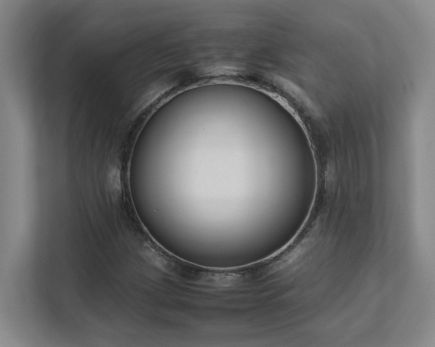 X0000111491209200907211002