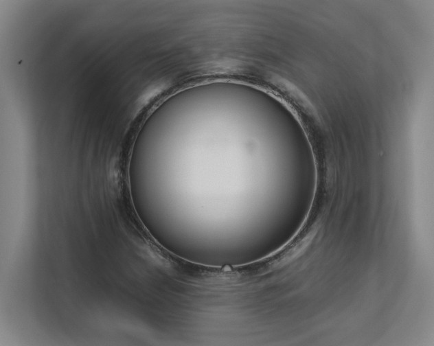 X0000111491210200907211002