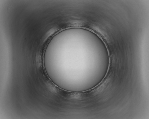 X0000111491211200907211002